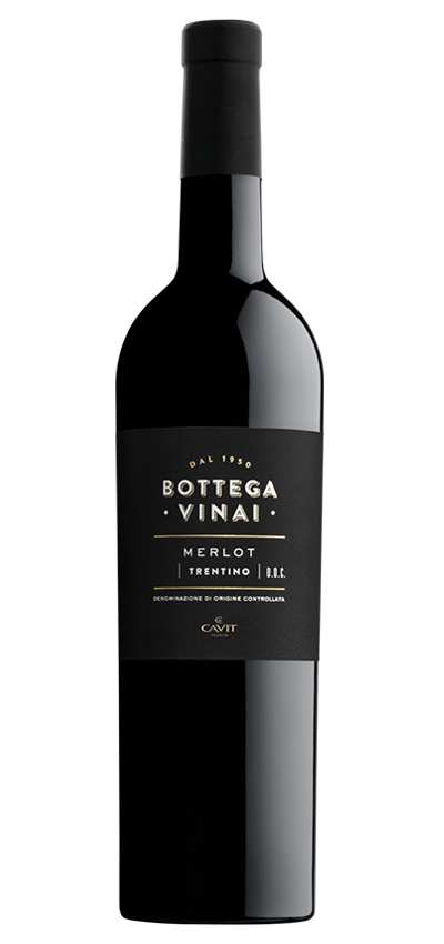 MERLOT Bottega Vinai Trentino DOC -Cavit