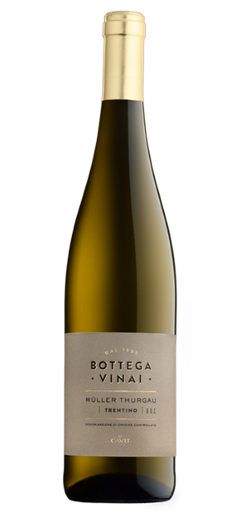 MÜLLER THURGAU Bottega Vinai Trentino DOC – Cavit