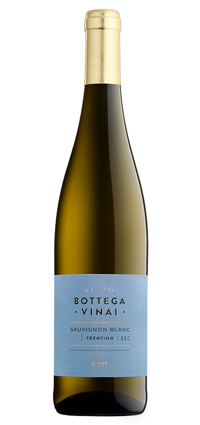 SAUVIGNON BLANC Bottega Vinai Trentino DOC – Cavit