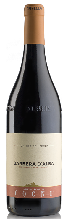 BRICCO DEI MERLI Barbera d’Alba DOC – Az. Agricola Elvio Cogno