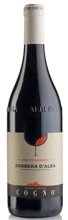 PRE-PHYLLOXERA Barbera d’Alba DOC – Az. Agricola Elvio Cogno