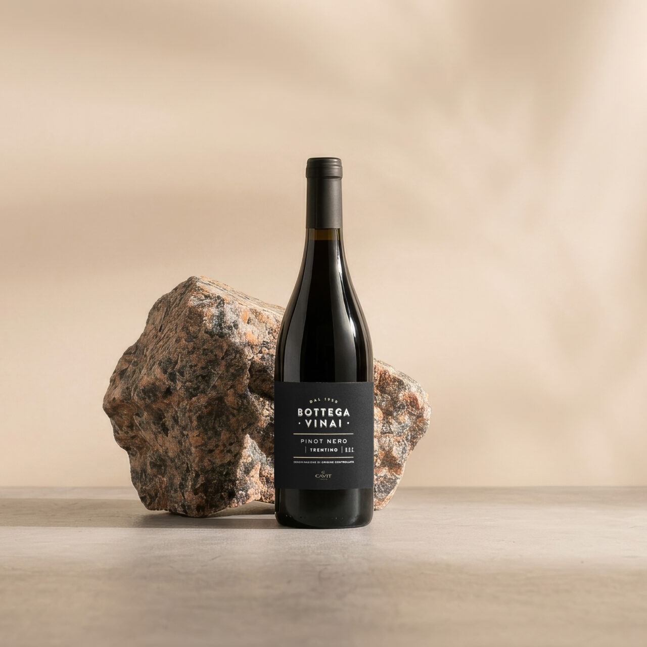 PINOT NERO Bottega Vinai Trentino DOC – Cavit