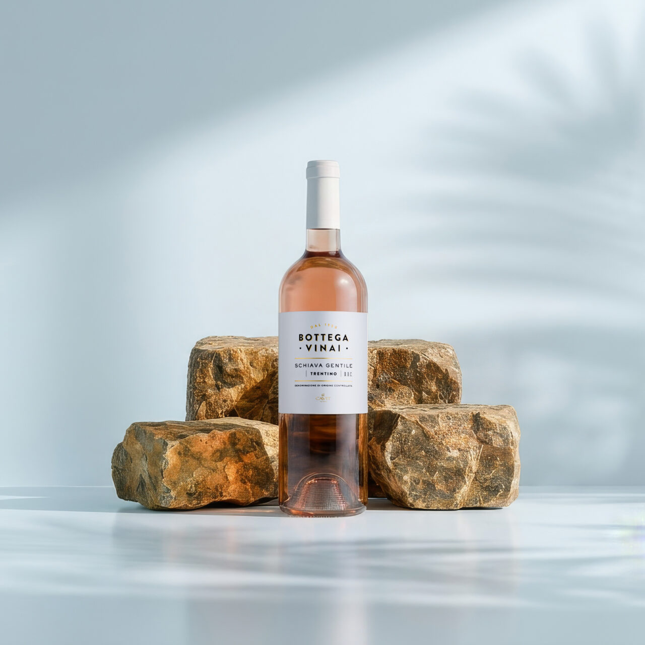 SCHIAVA GENTILE Bottega Vinai Trentino DOC – Cavit